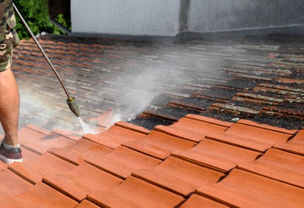 Best Commercial Building Pressure Washing  in Savanna, IL