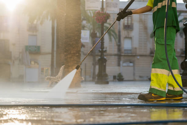Best Exterior Home Cleaning  in Savanna, IL