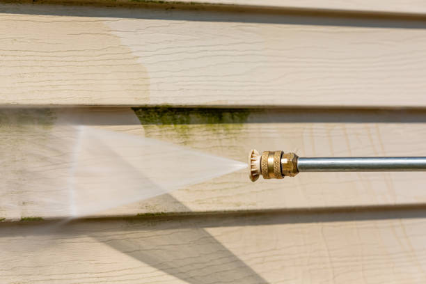 Best Local Pressure Washing Services  in Savanna, IL