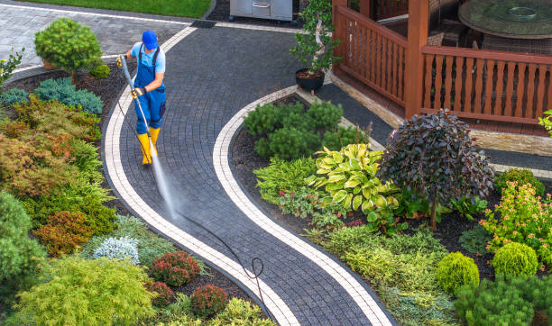 Best Sidewalk Pressure Washing  in Savanna, IL