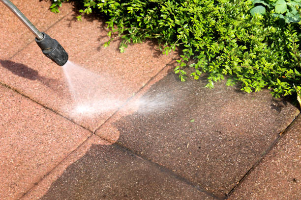 Best Pressure Washing Near Me  in Savanna, IL
